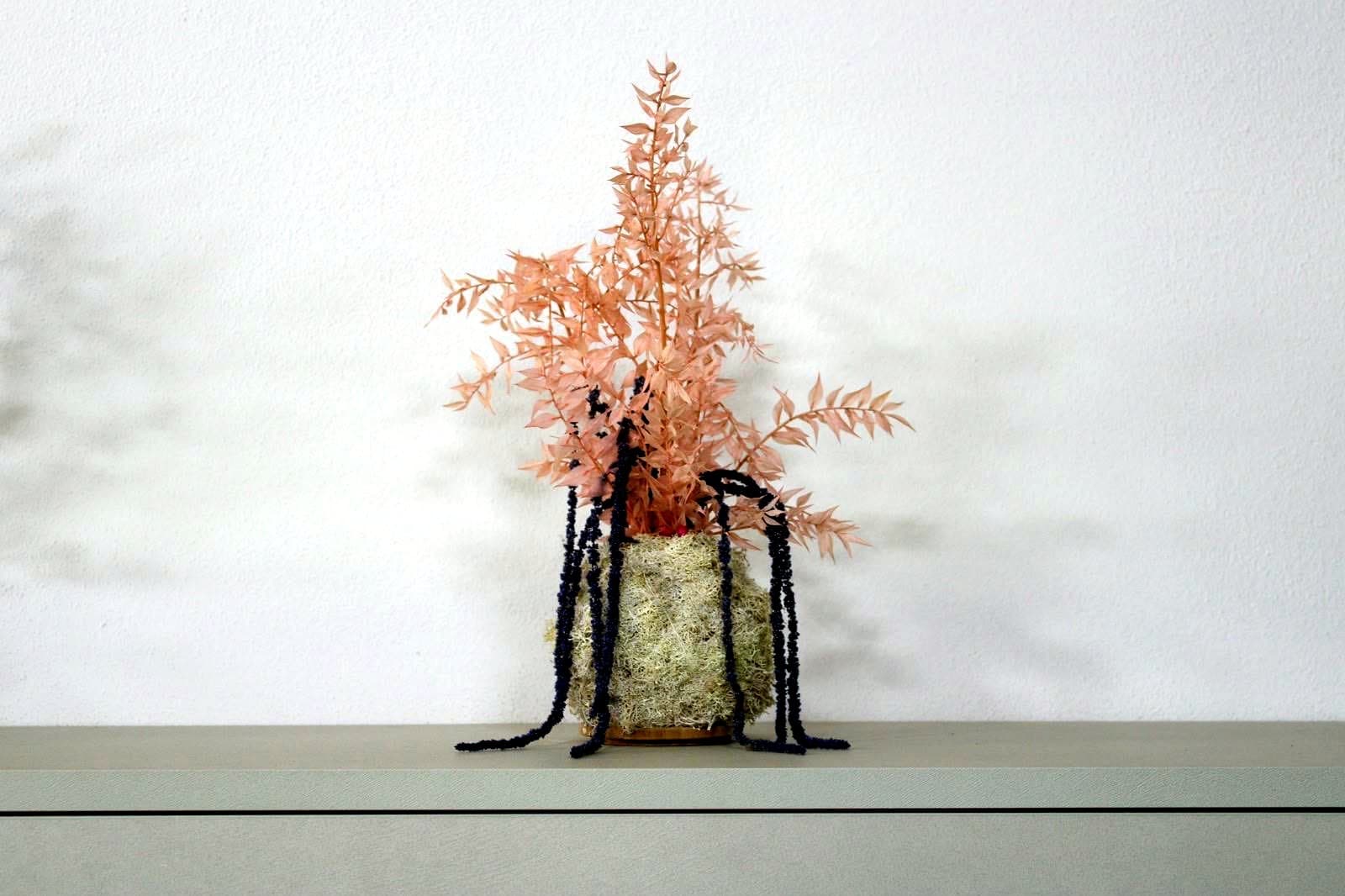 Kokedama di Felce Rosa