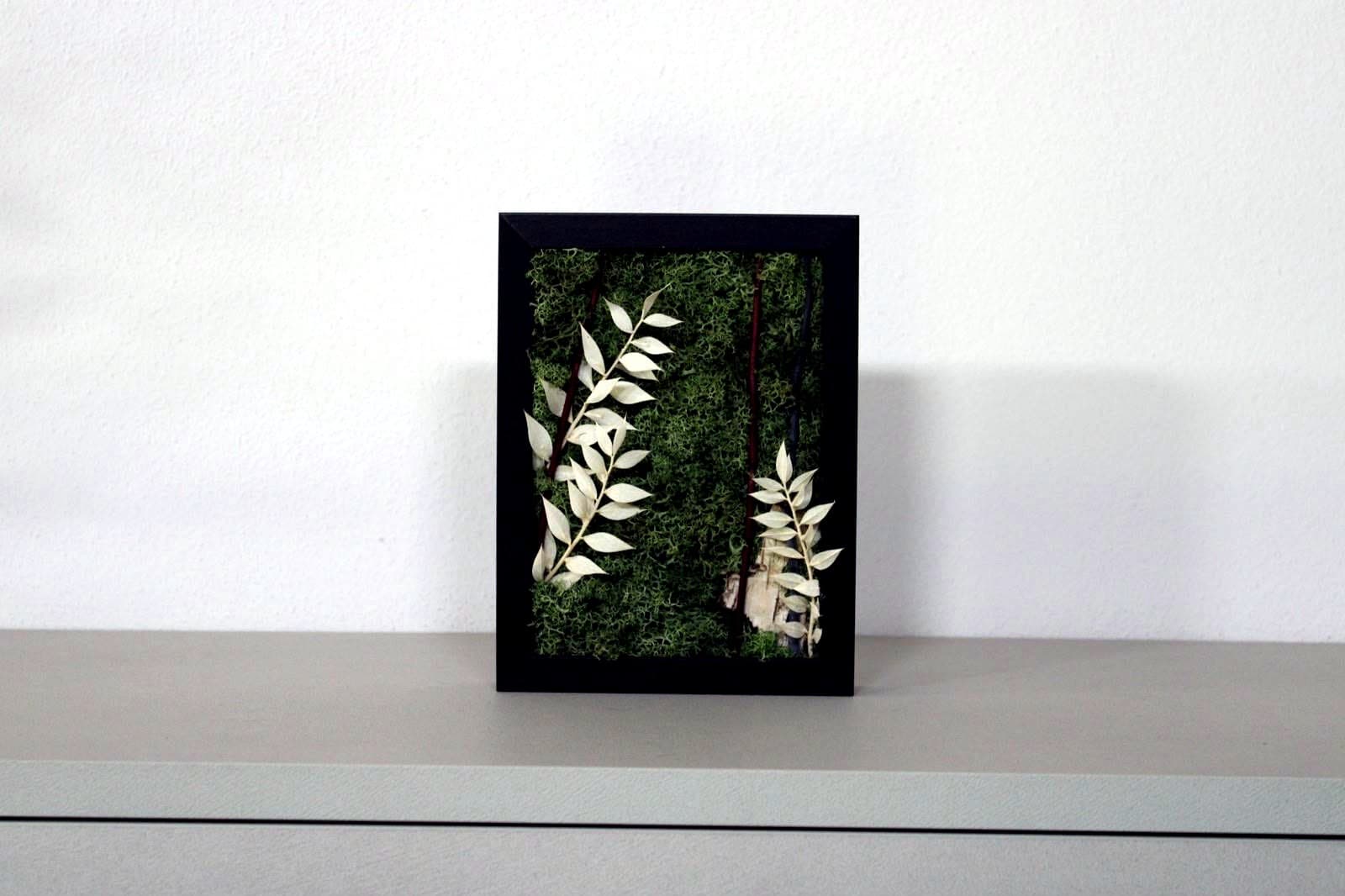 Quadro Ruscus