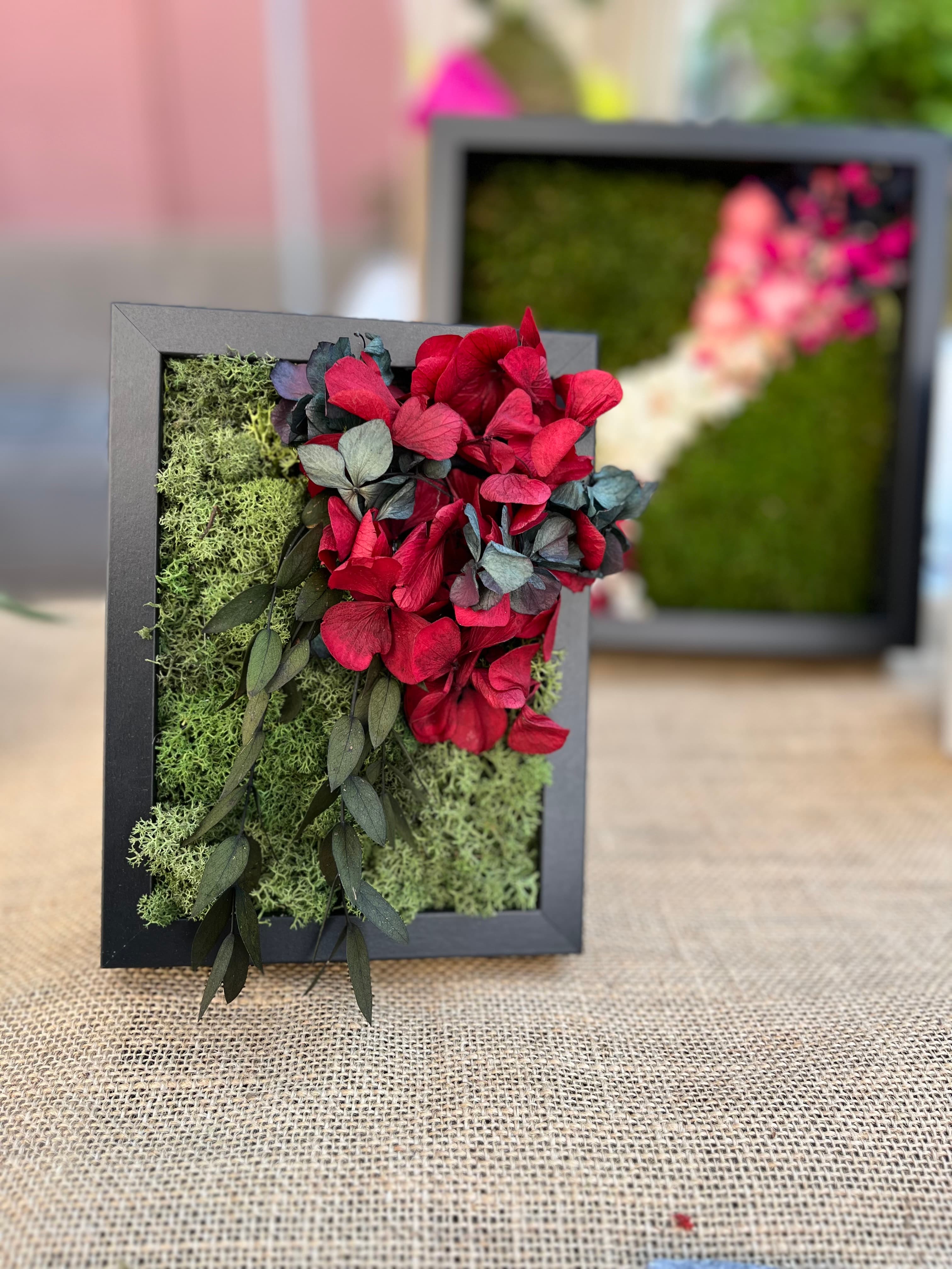 Esempio di quadro vegetale su misura con ortensia e parvifolia.